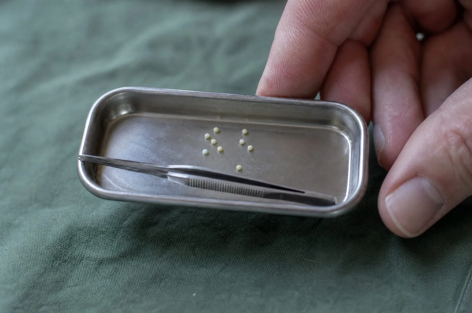 Hormone pellets on a steel tray at AH Clinics